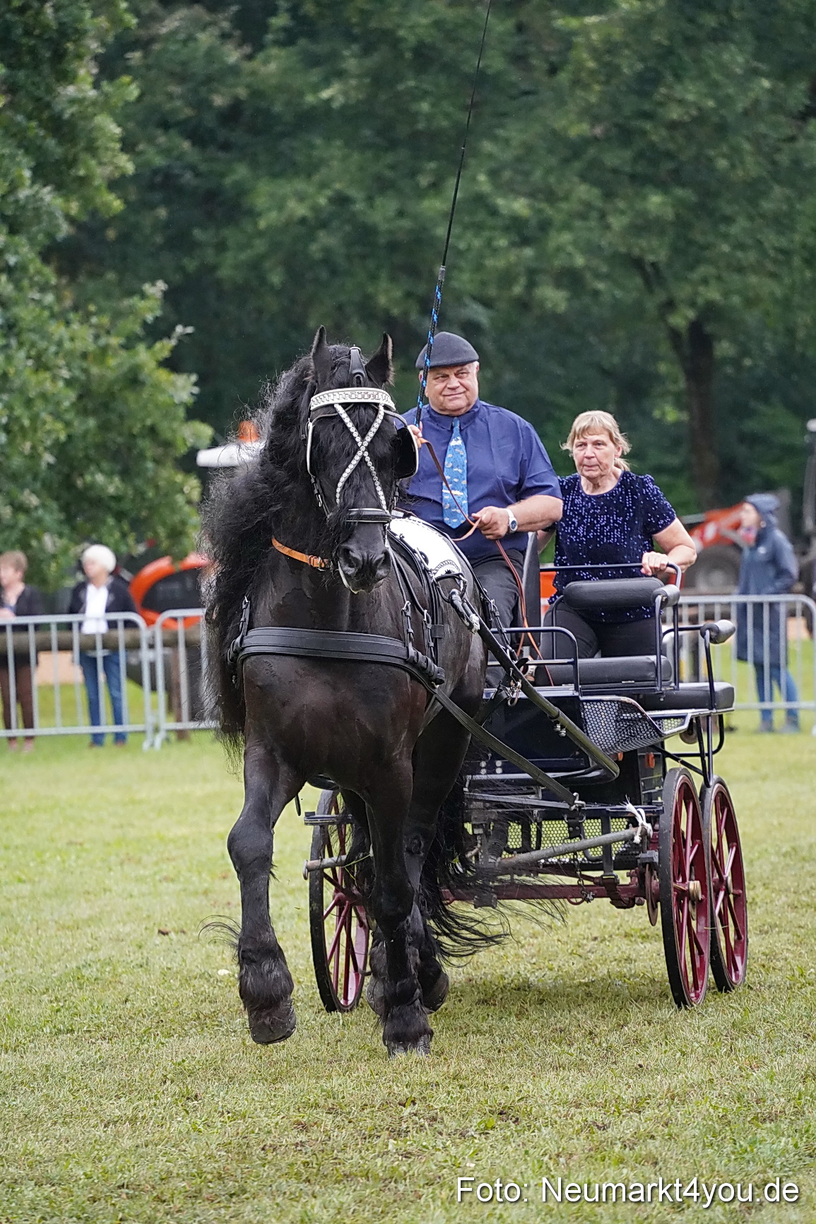 Pferde und Fohlenschau 2024 0153