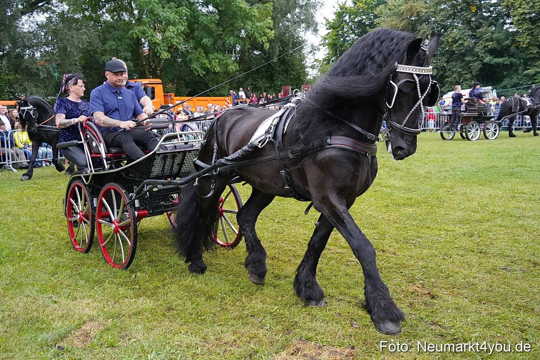 Pferde und Fohlenschau 2024 0154