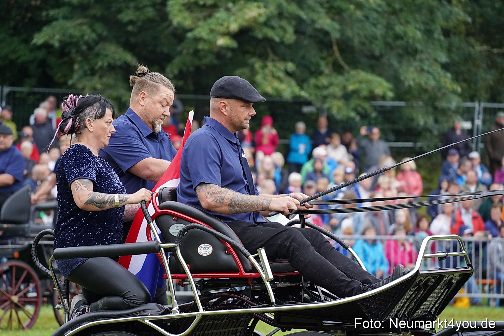 Pferde und Fohlenschau 2024 0158