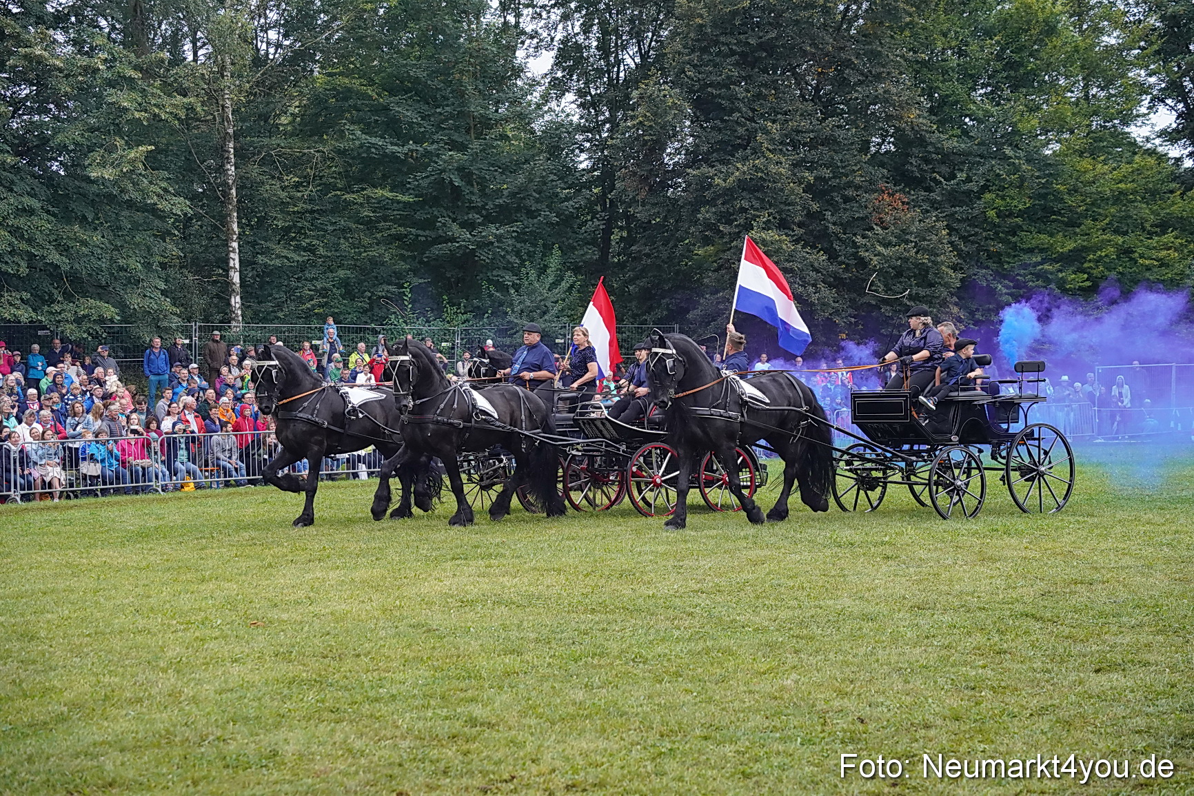 Pferde und Fohlenschau 2024 0159