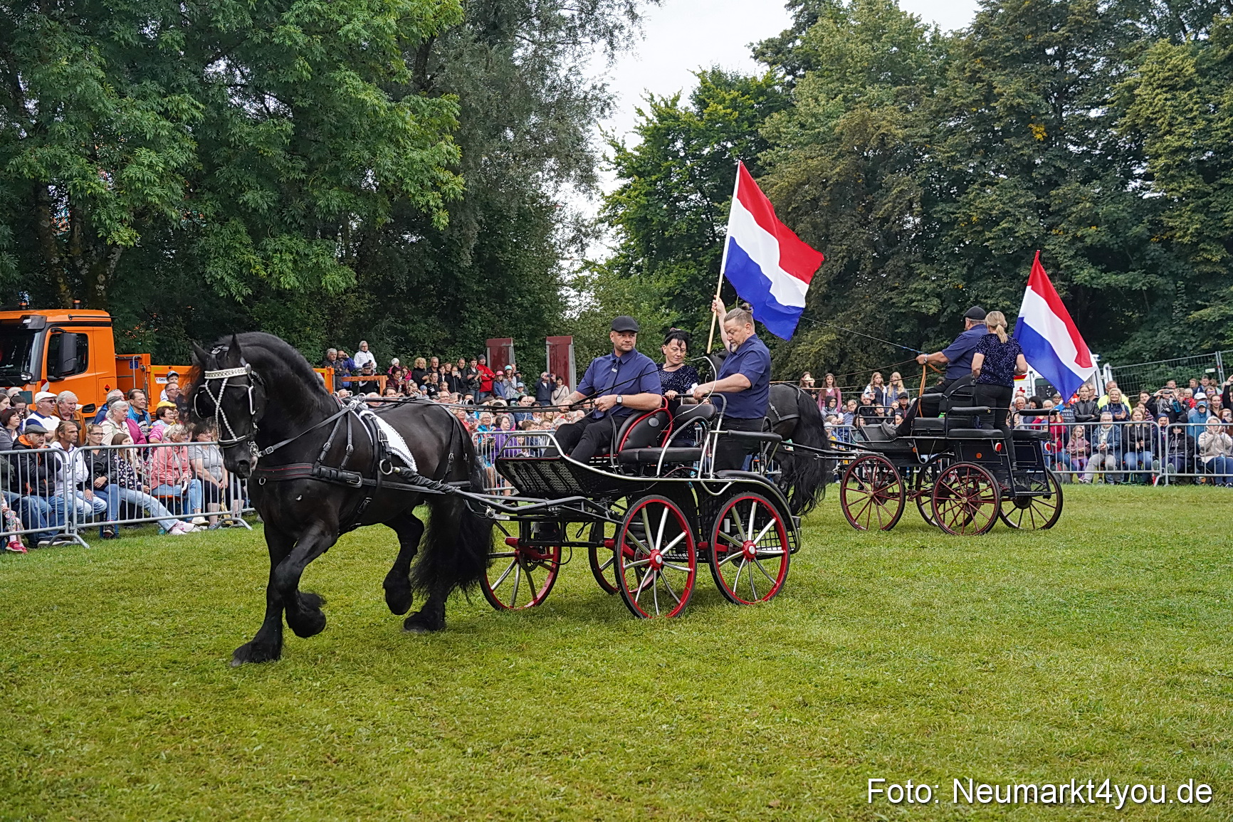Pferde und Fohlenschau 2024 0160