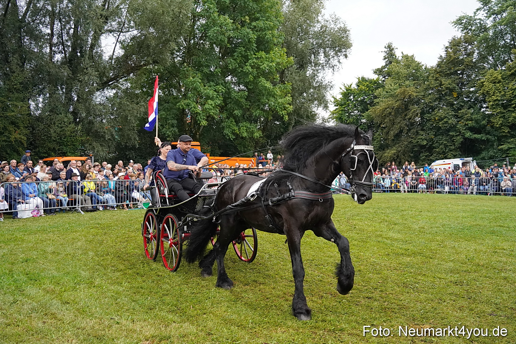 Pferde und Fohlenschau 2024 0161