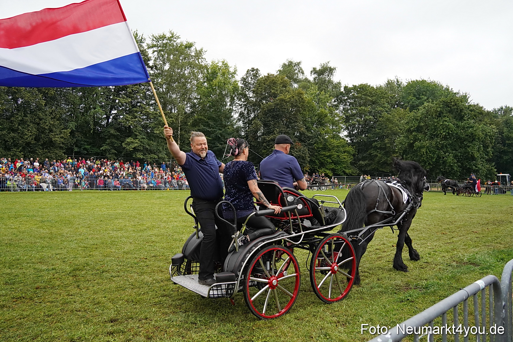 Pferde und Fohlenschau 2024 0162