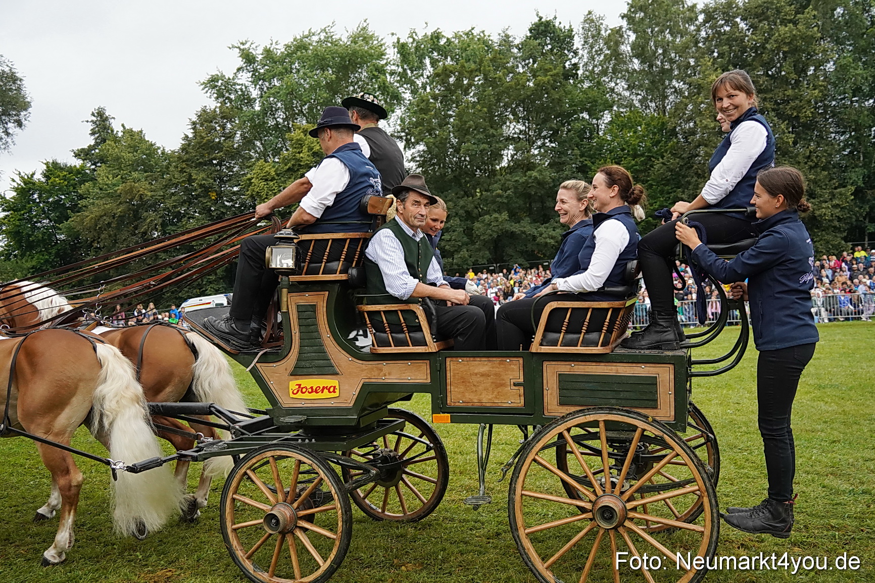 Pferde und Fohlenschau 2024 0171