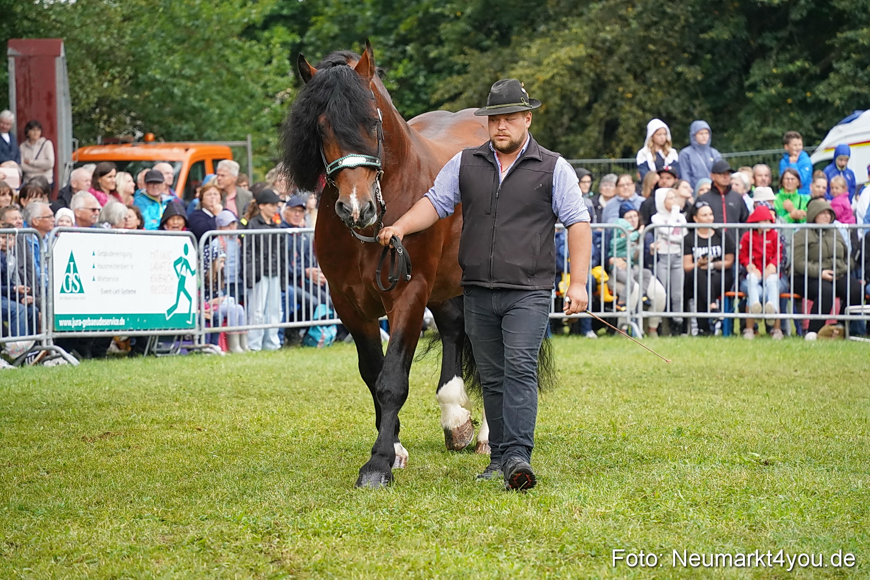 Pferde und Fohlenschau 2024 0173