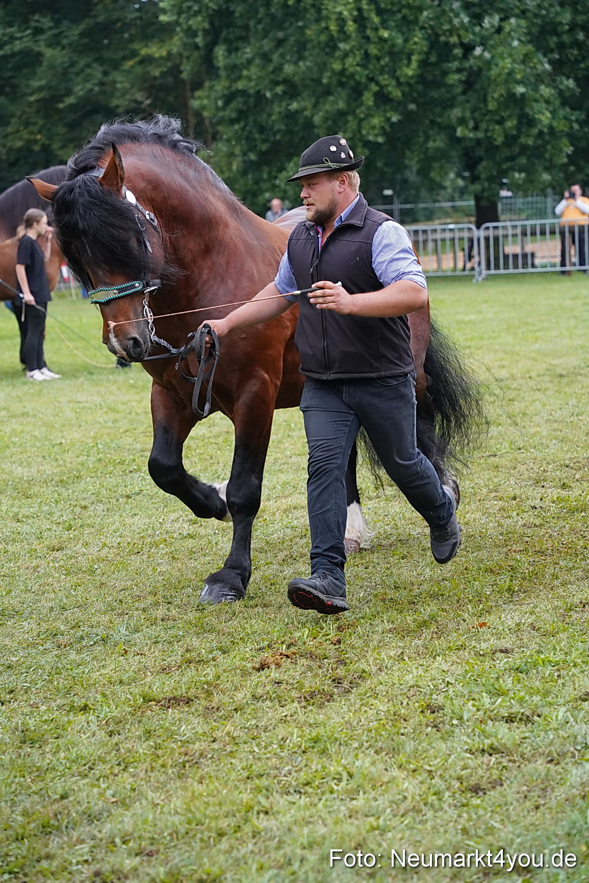 Pferde und Fohlenschau 2024 0175
