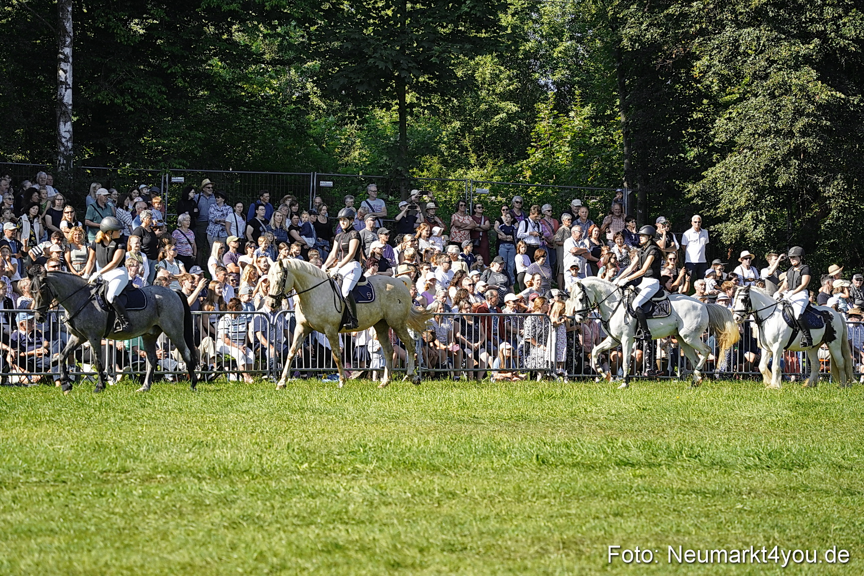 Pferde und Fohlenschau 2025 0062