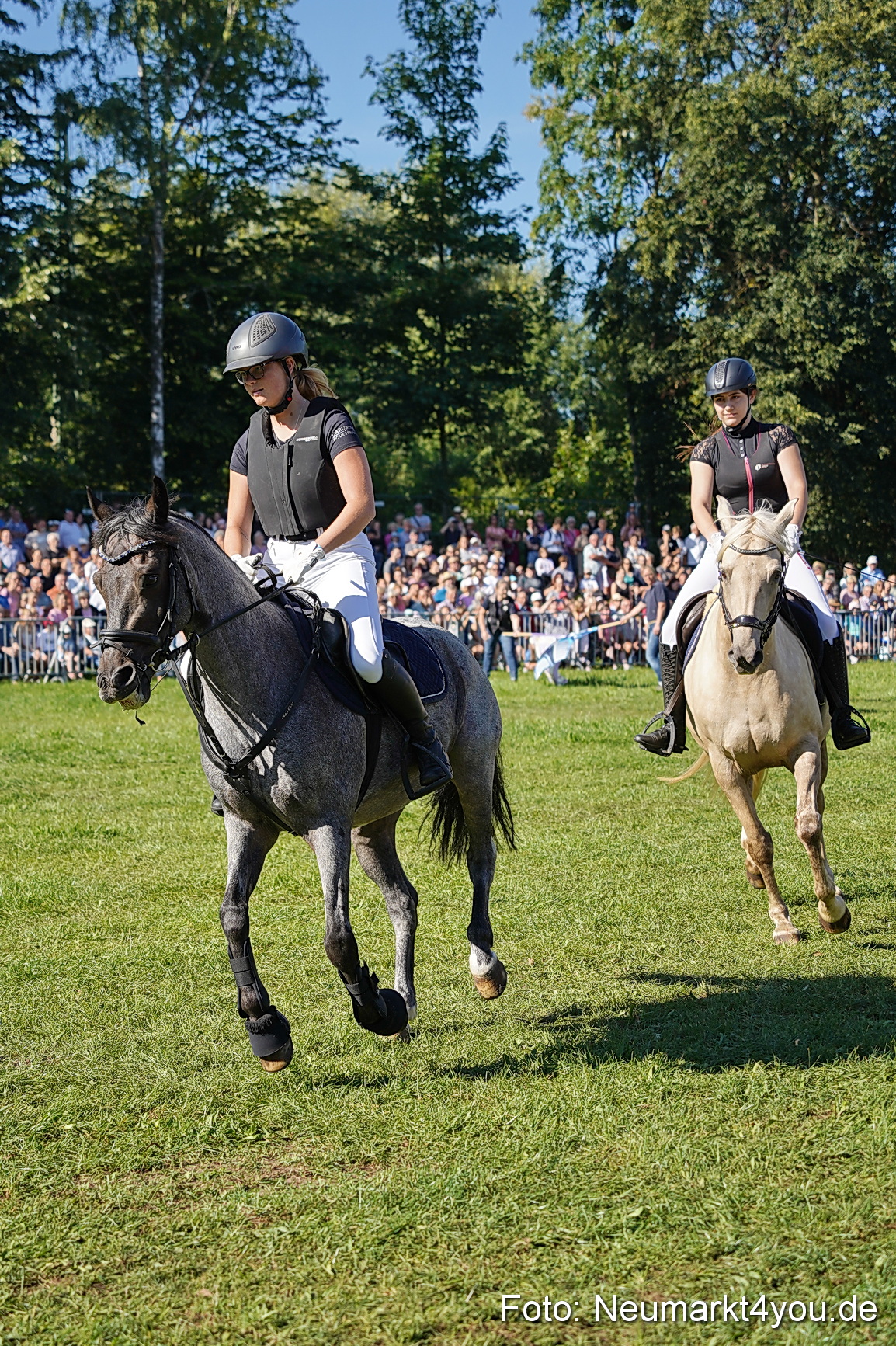 Pferde und Fohlenschau 2025 0067