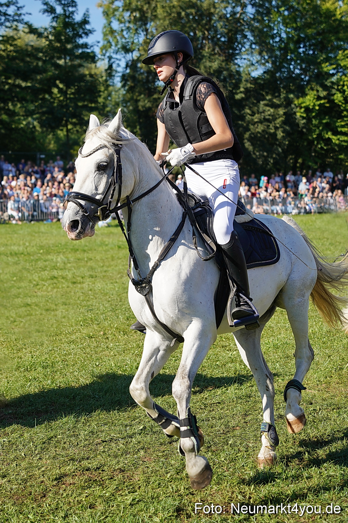Pferde und Fohlenschau 2025 0068