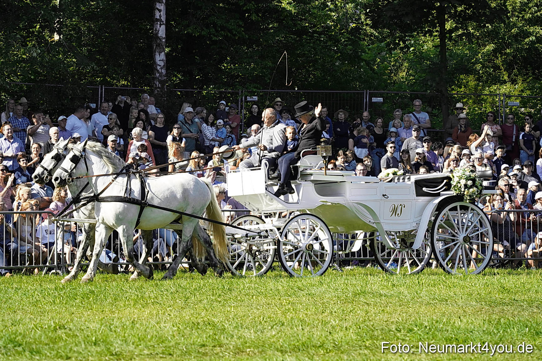 Pferde und Fohlenschau 2025 0081