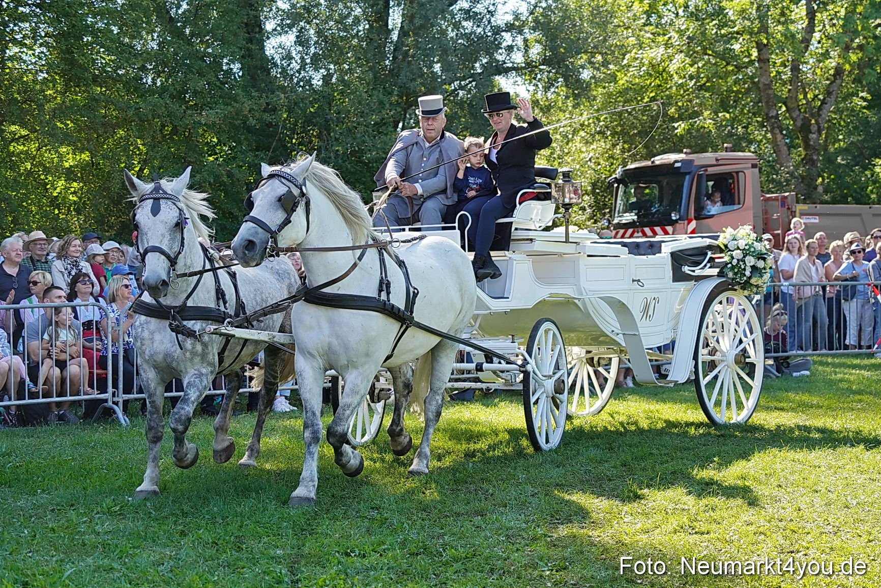 Pferde und Fohlenschau 2025 0084