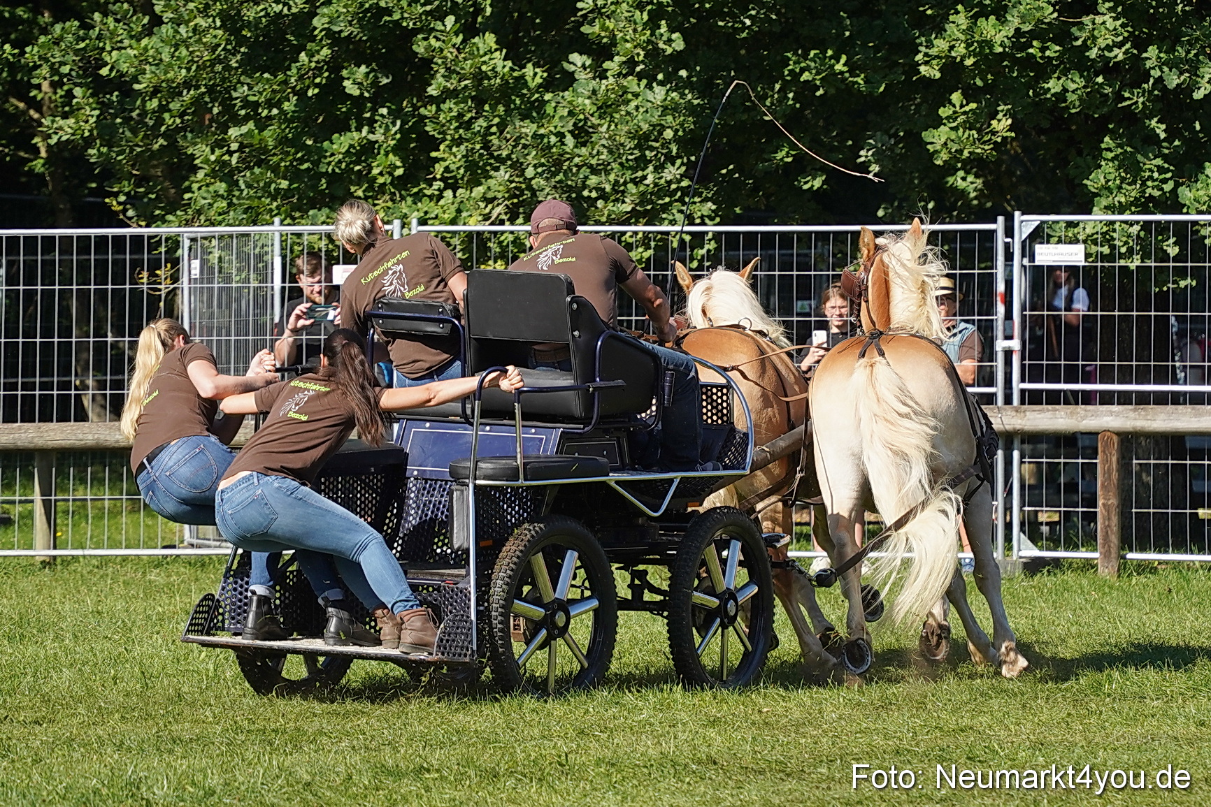 Pferde und Fohlenschau 2025 0098