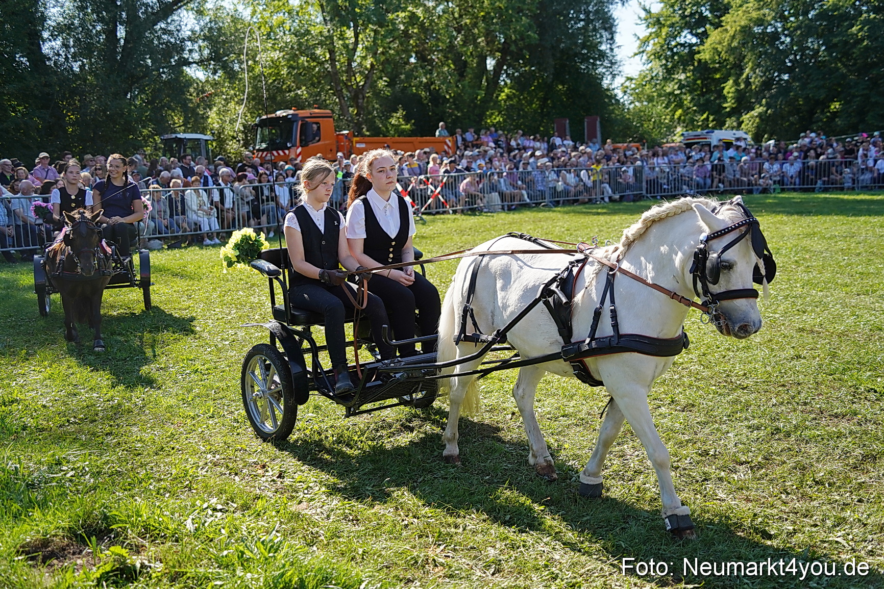 Pferde und Fohlenschau 2025 0111