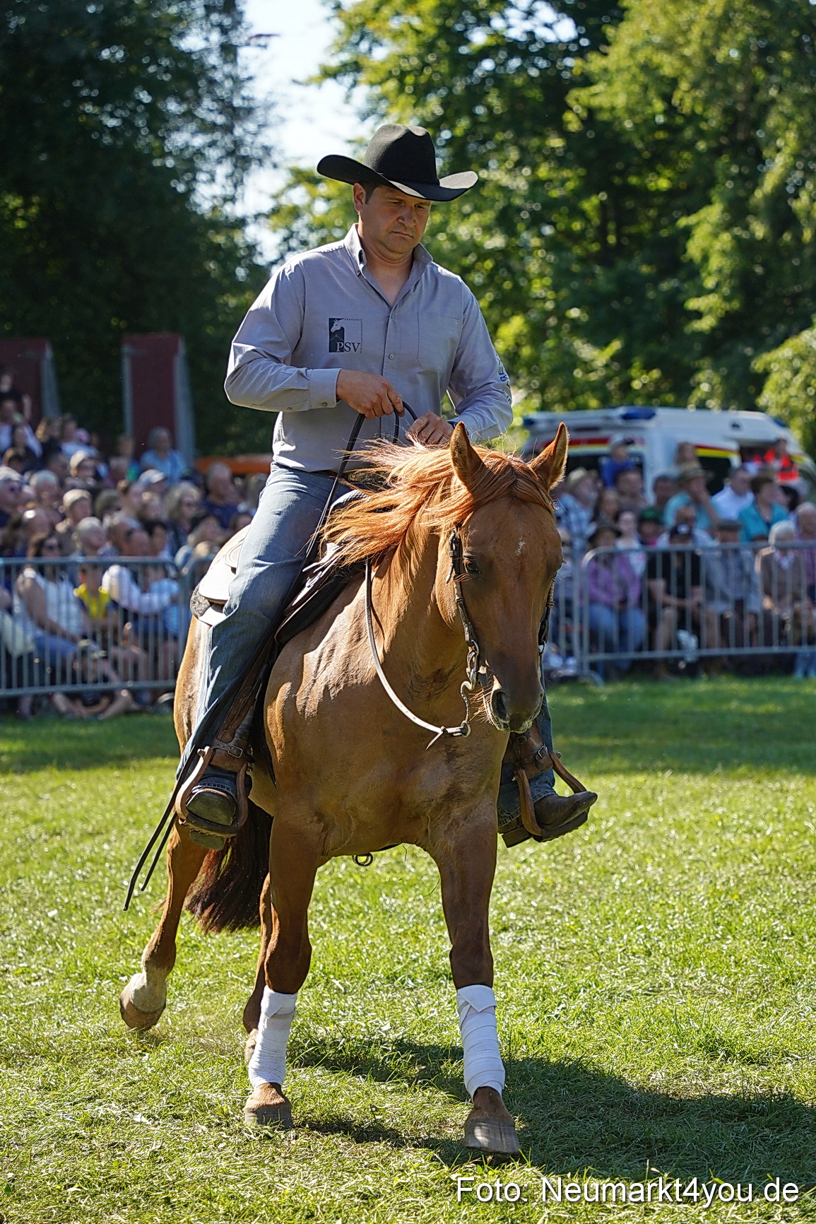 Pferde und Fohlenschau 2025 0125