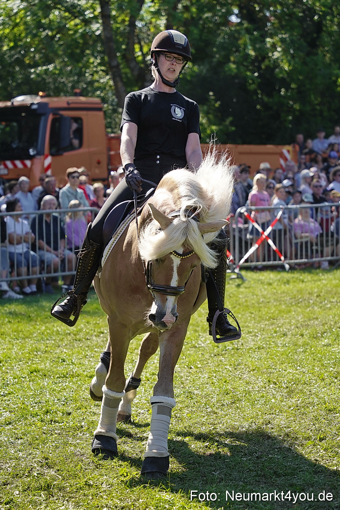 Pferde und Fohlenschau 2025 0129