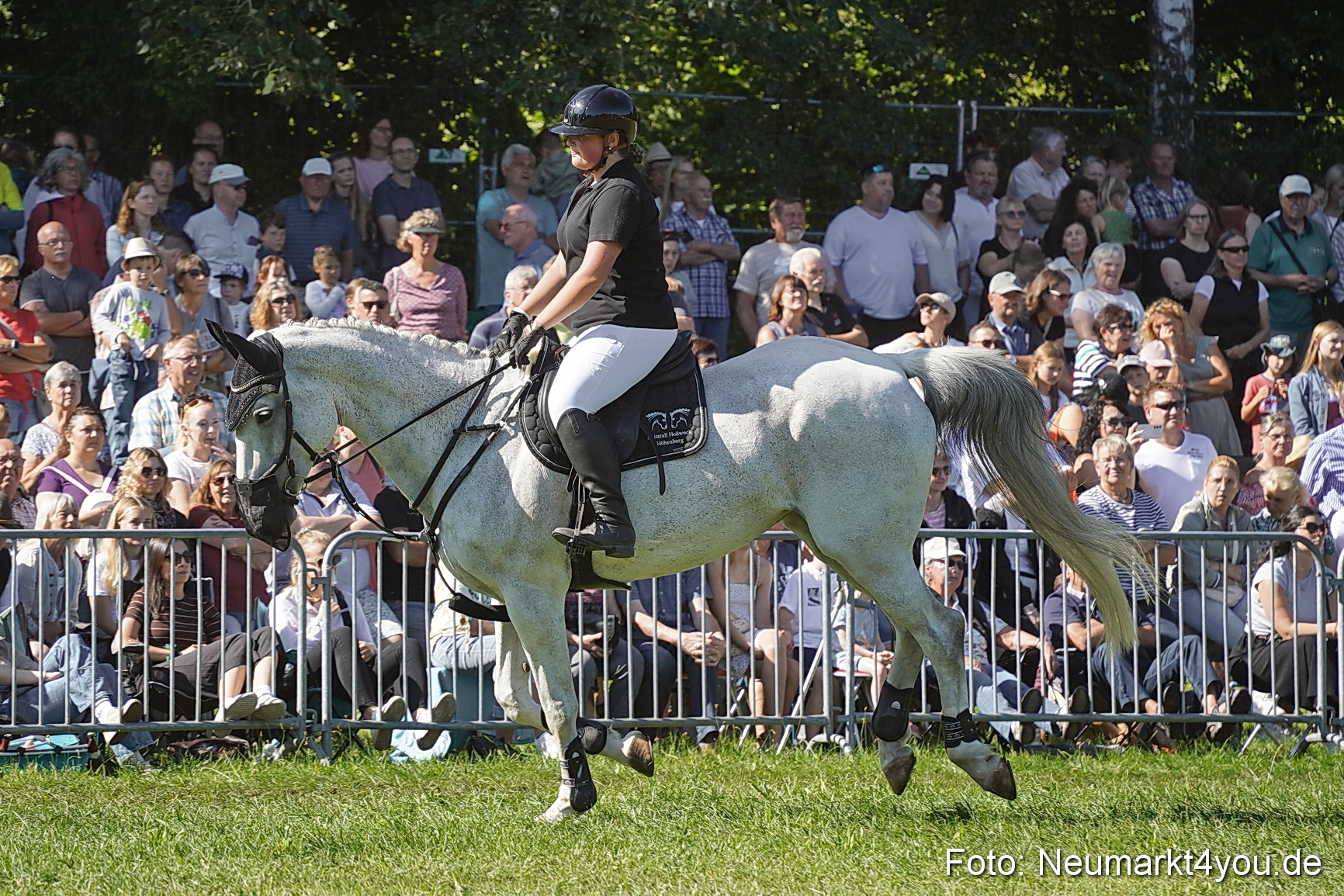 Pferde und Fohlenschau 2025 0133