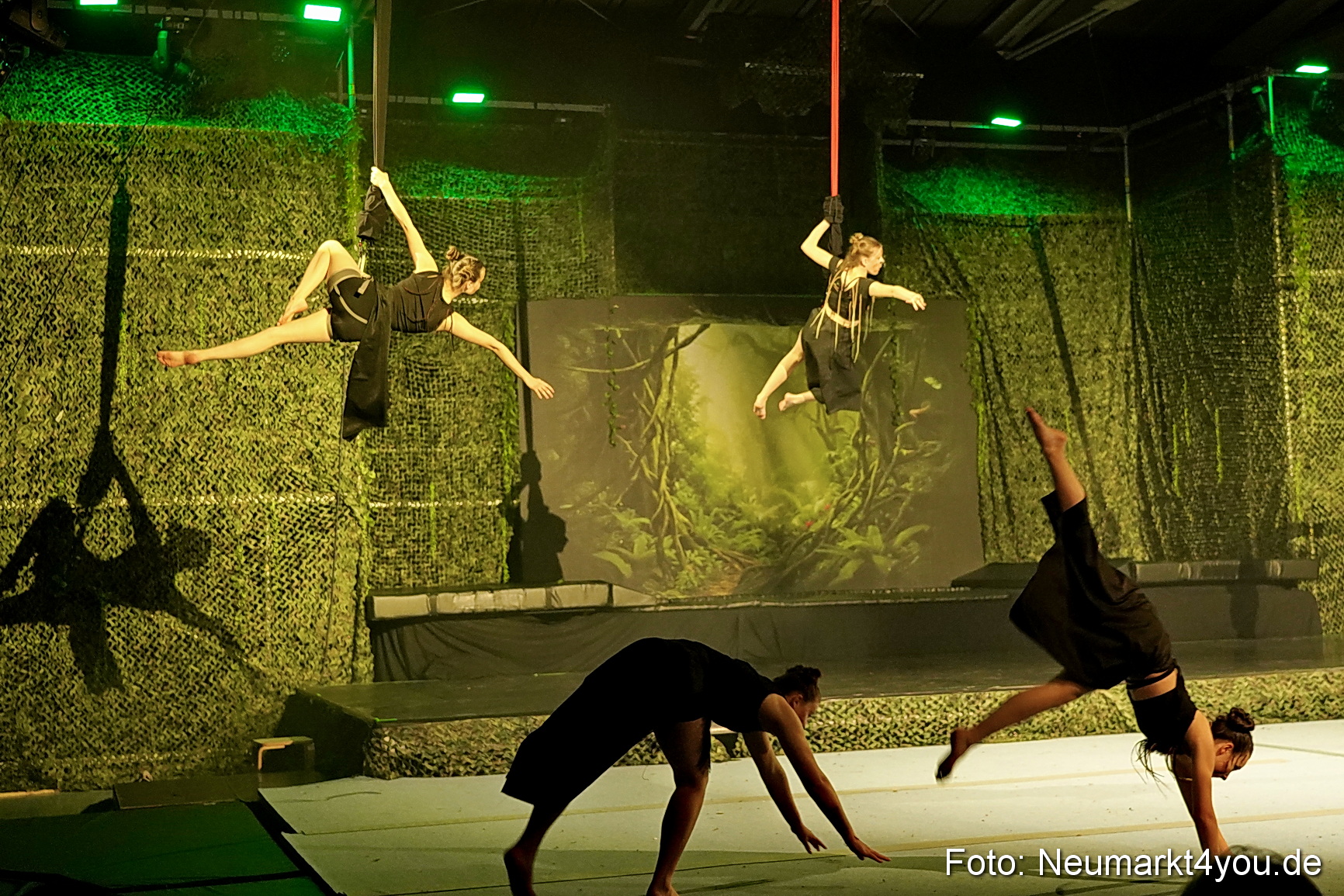Artico Tarzan 280326 0025
