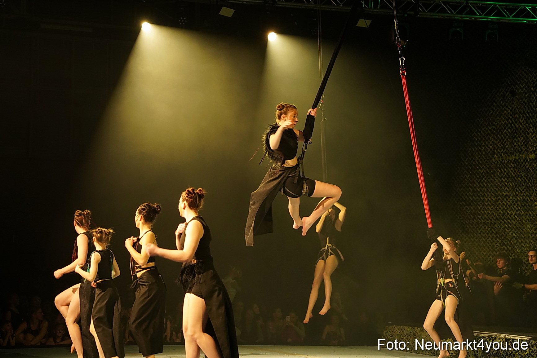 Artico Tarzan 280326 0026
