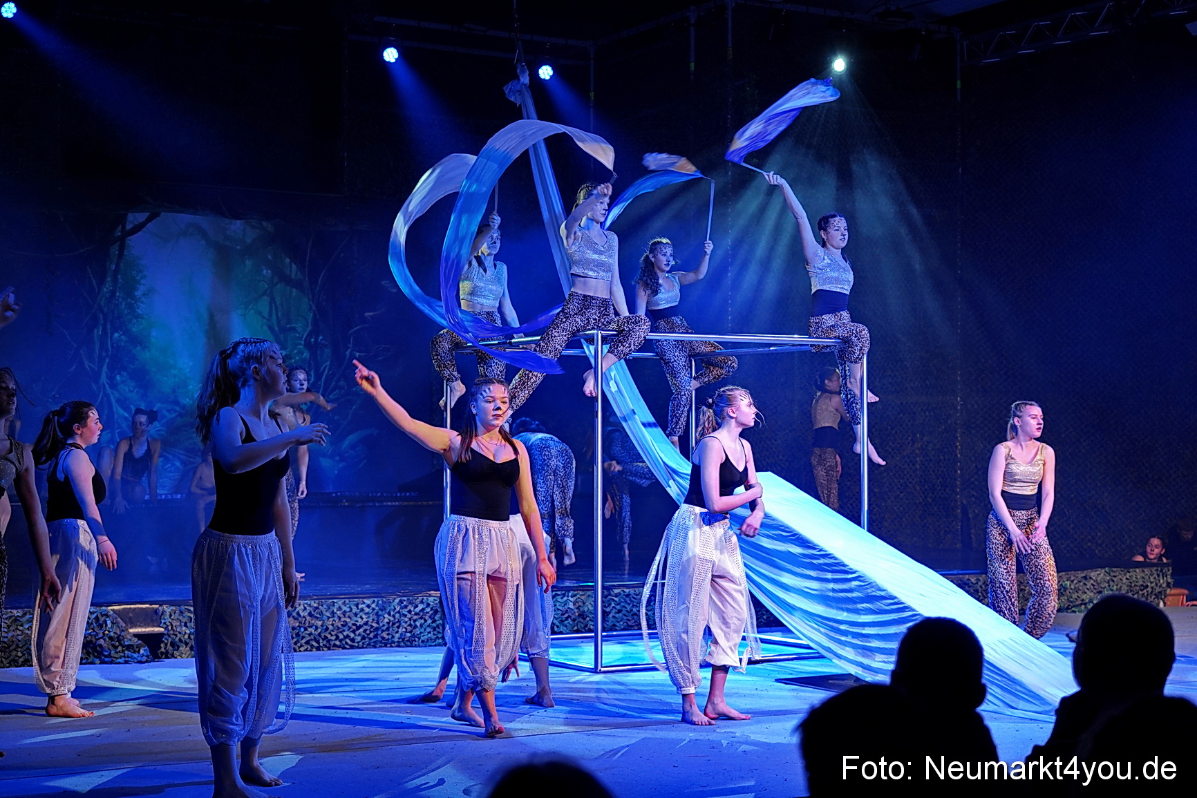 Artico Tarzan 280326 0051