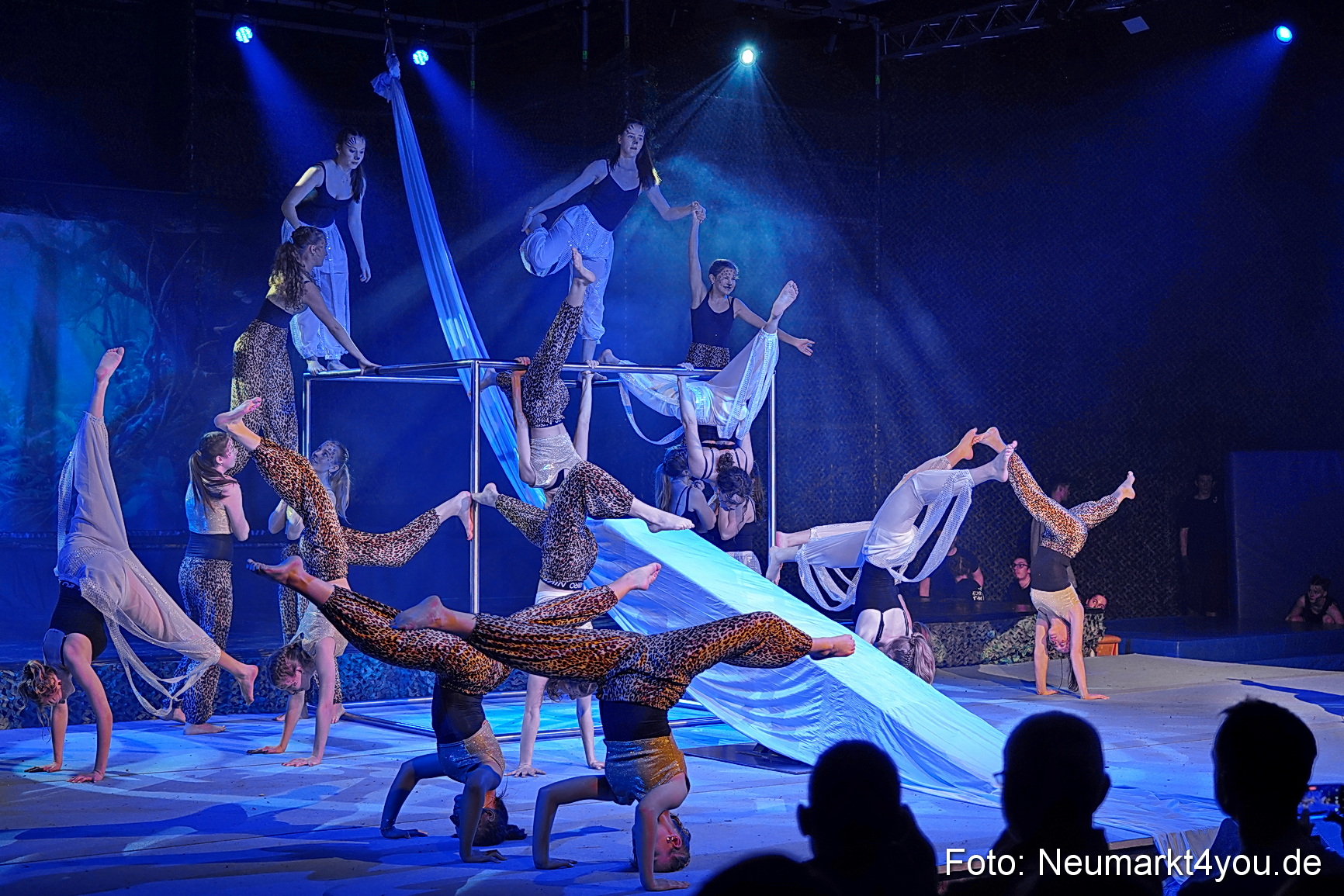 Artico Tarzan 280326 0056