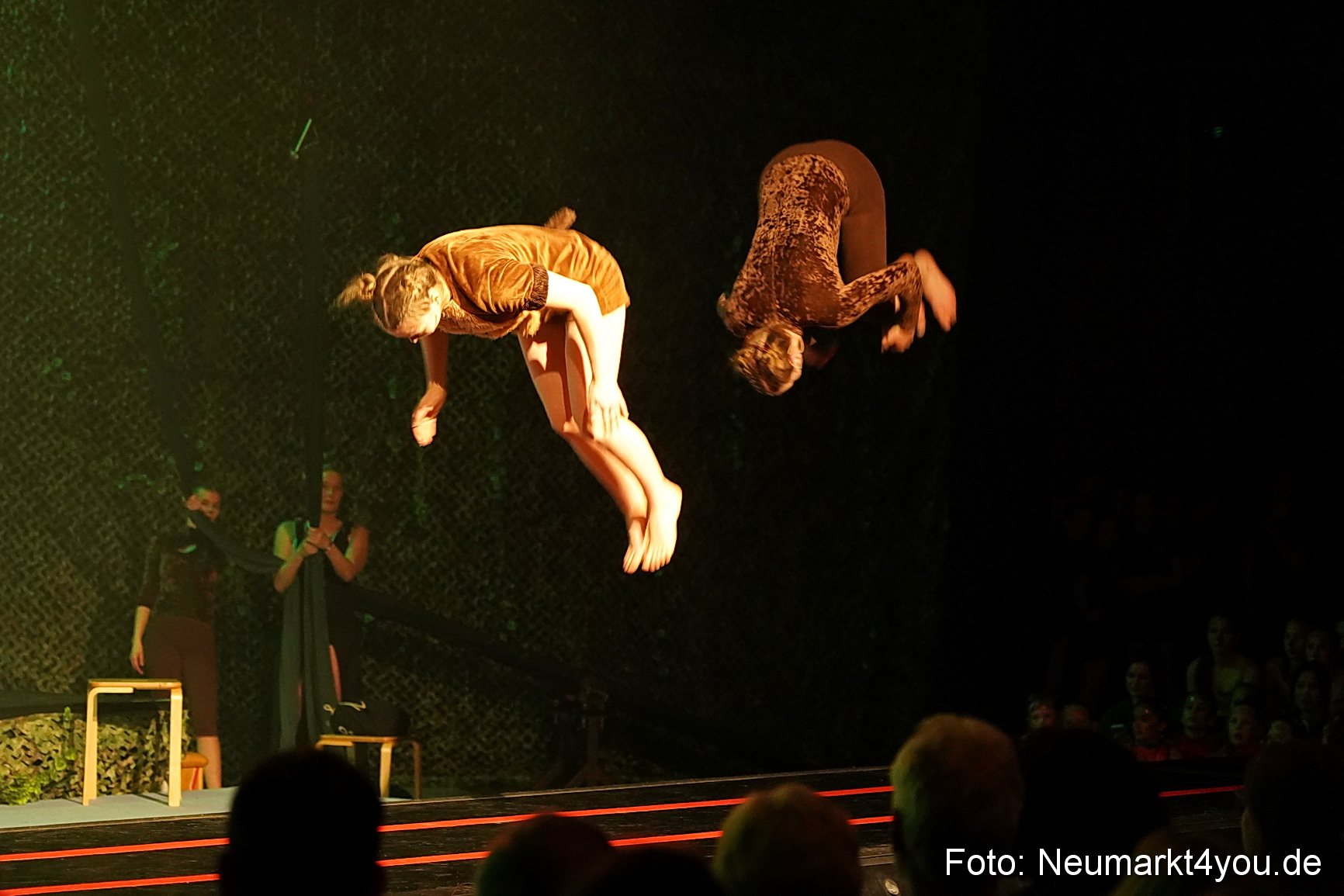 Artico Tarzan 280326 0124