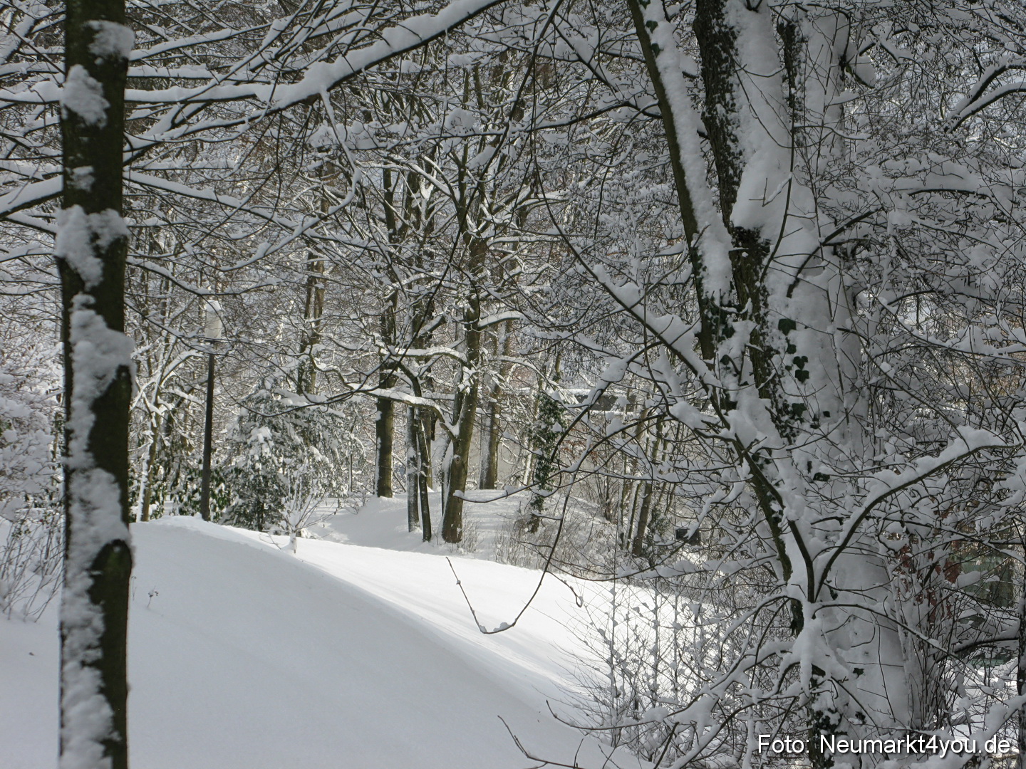 Neumarkt 101210 0021