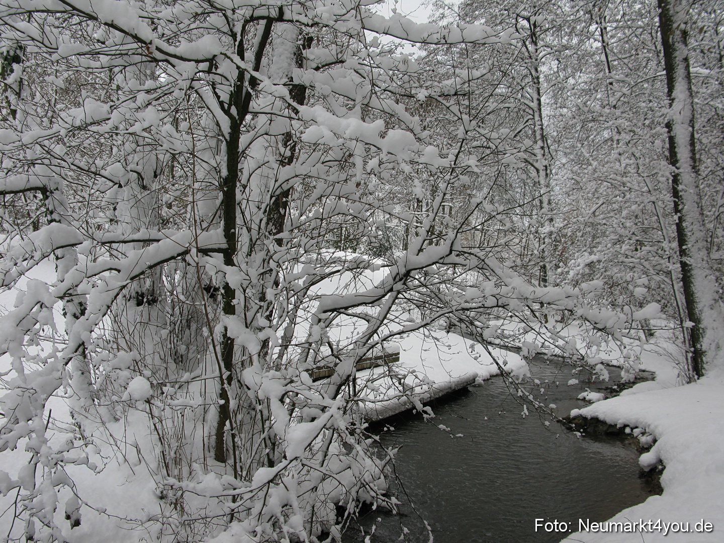 Neumarkt 101210 0022