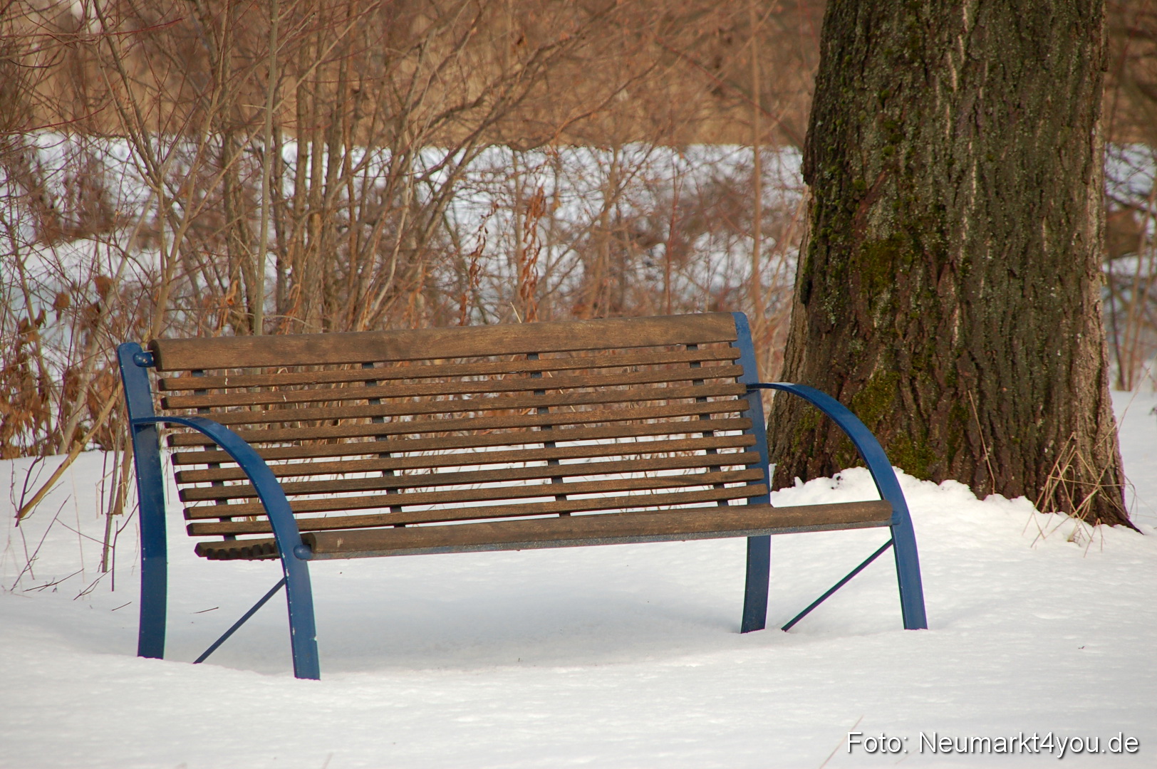 Winter Neumarkt 04021 0003
