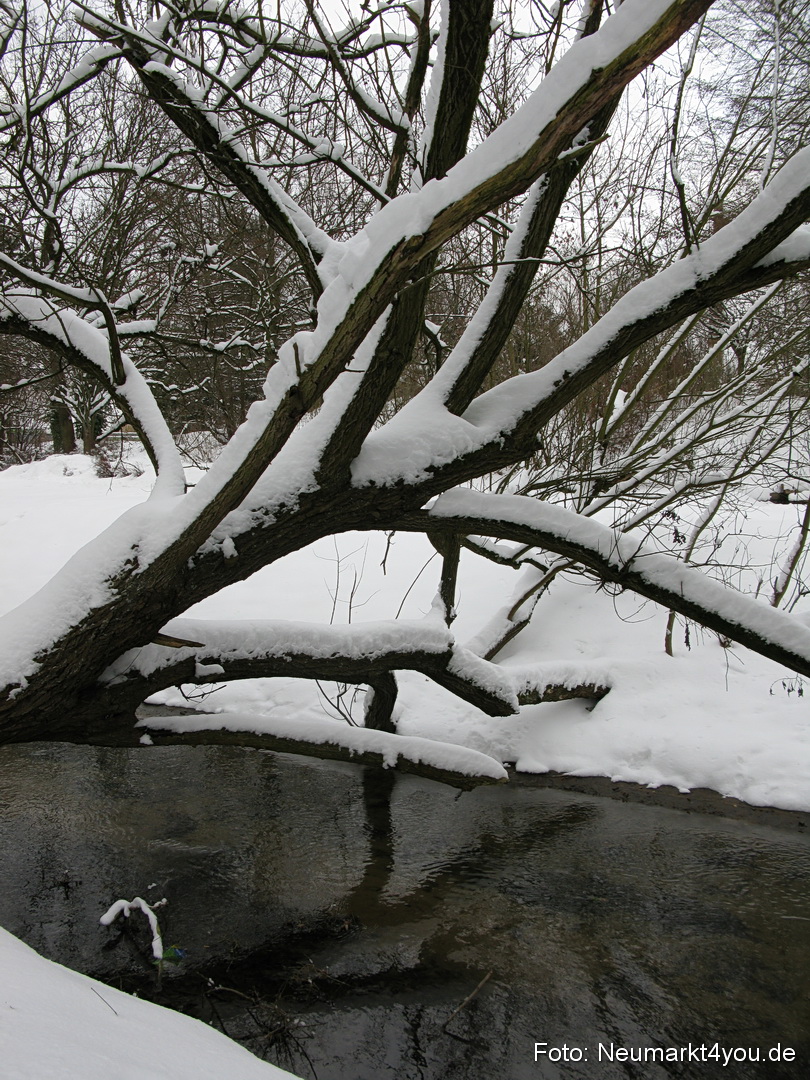 Winter Neumarkt 04021 0039